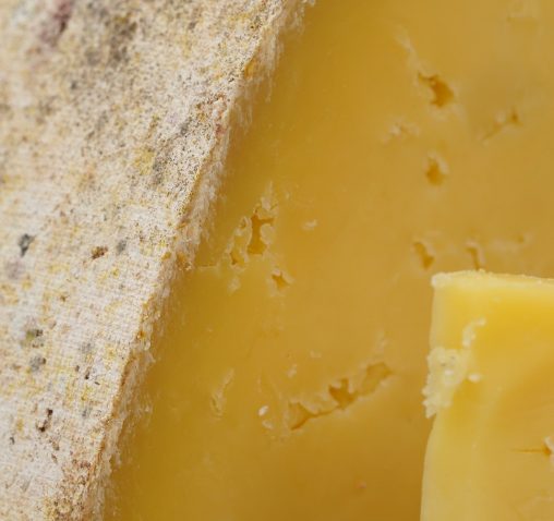 What is Pasture Fed?  Torpenhow Organic Cheese, Cumbria